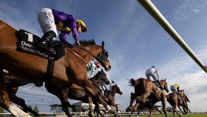 Down Royal Racecourse